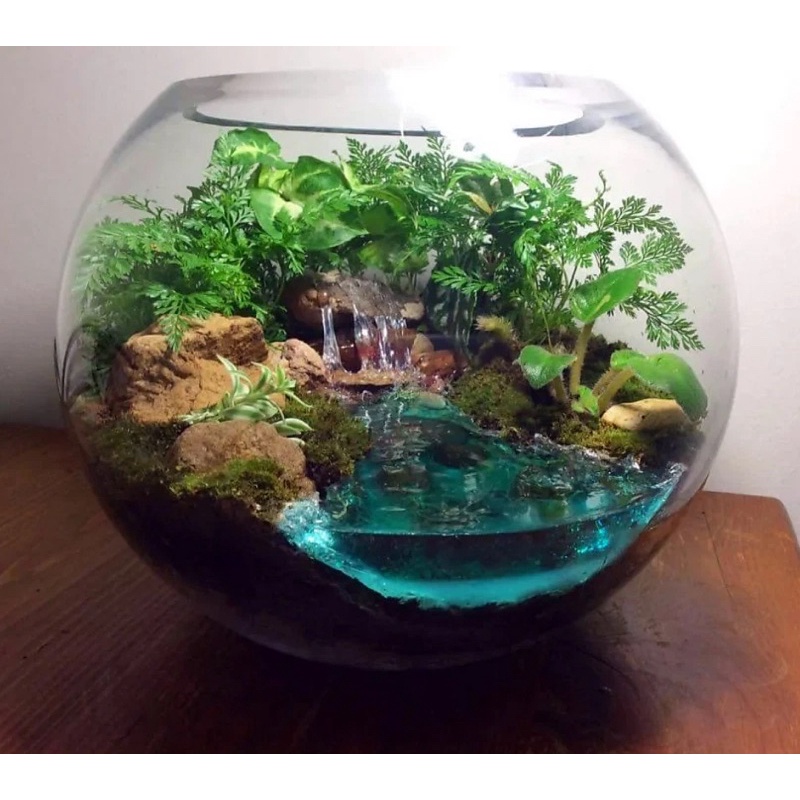 Bể cá mini thủy sinh để bàn, bình thủy tinh trồng cây thủy sinh, terrarium, thủy canh