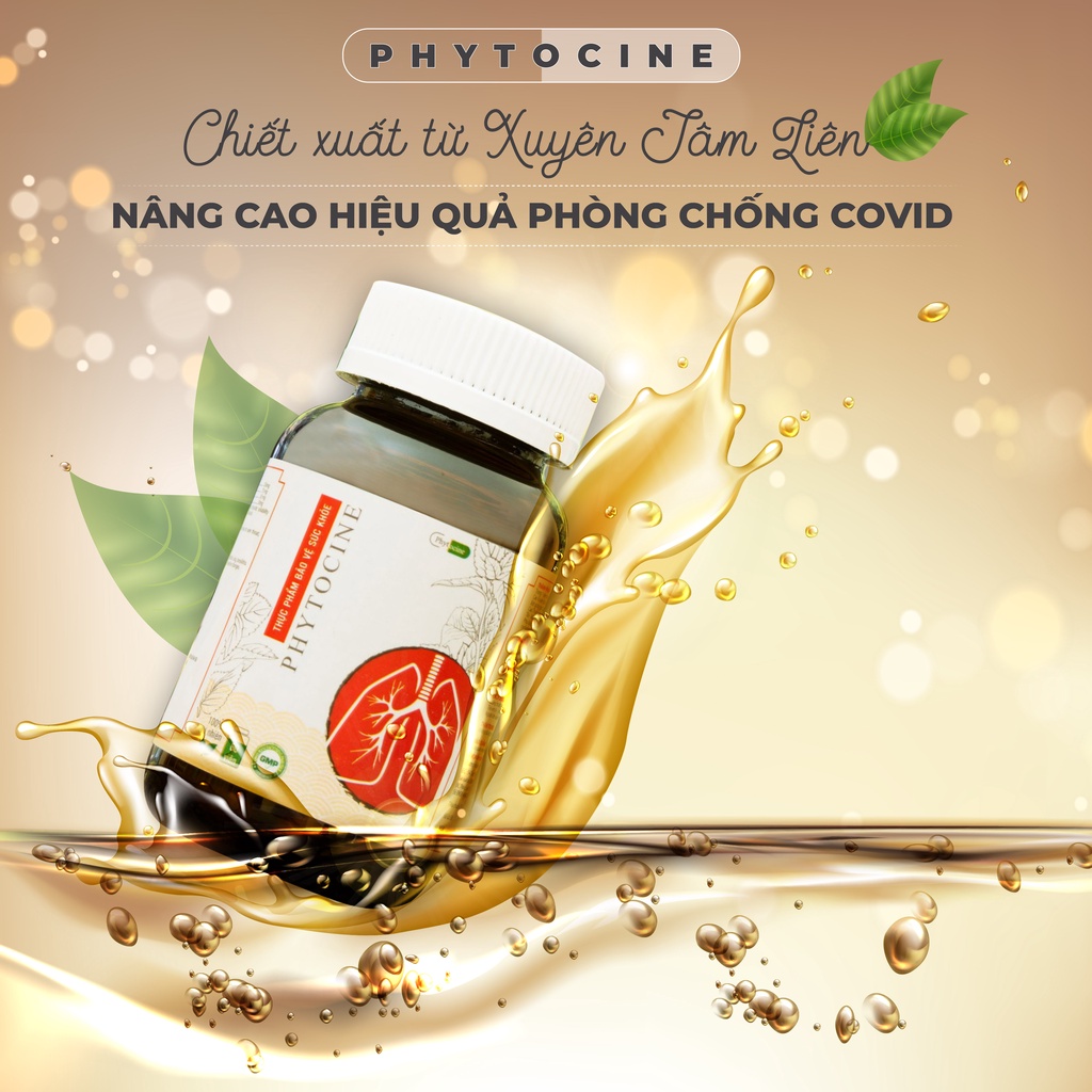Viên uống chiết xuất xuyên tâm liên phytocine - 3T Đức Thịnh Group - hỗ trợ bảo vệ và chăm sóc hệ hô hấp