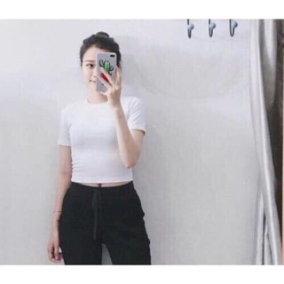 Chuẩn Áo croptop trơn body basic chất lượng