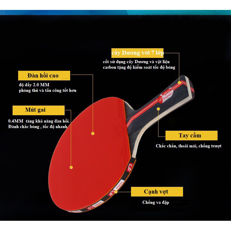 Vợt bóng bàn Boliprice - Laket bóng bàn thi đấu tiêu chuẩn - Bộ 2 vợt / 1 túi / 3 bóng cao cấp A070