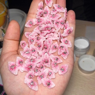 Hoa bột nail (ôm móng cực đẹp ) có nhiều màu khách lựa chọn