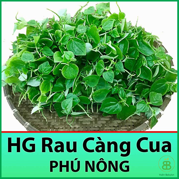 Hạt Giống Rau Càng Cua 0,5Gr Dễ Trồng