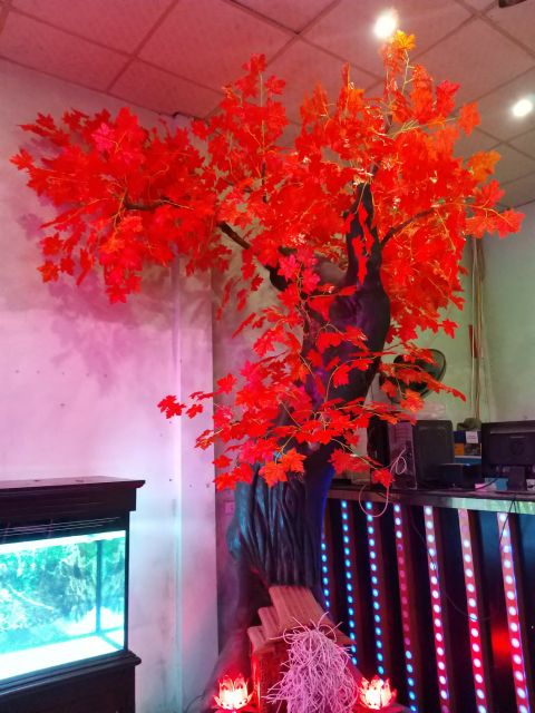 Cành phong lá đỏ loại 3 nhánh