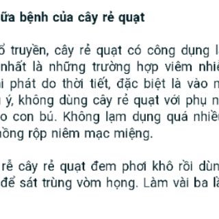 Cây rẻ quạt kèm củ