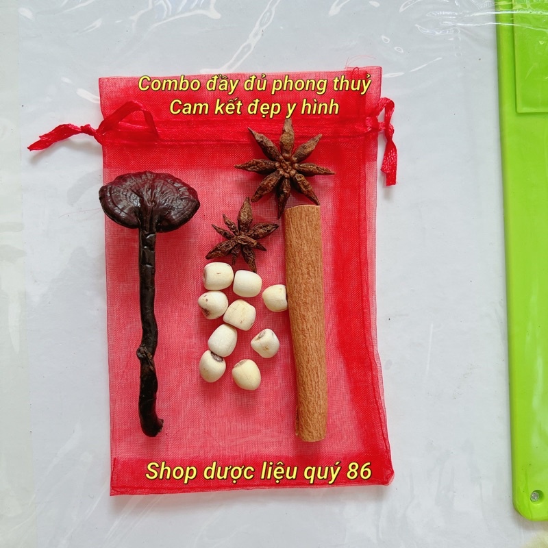 NẤM LINH CHI RỪNG - nấm linh chi trúc- nấm cổ cò