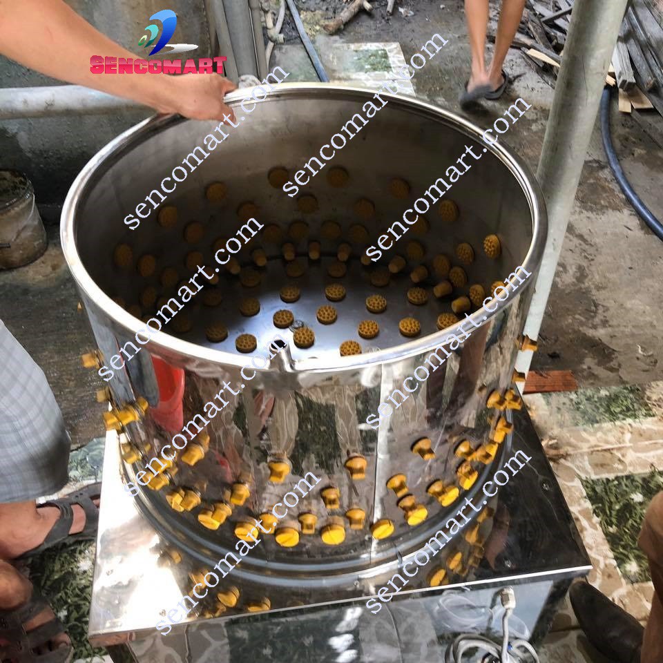 MÁY VẶT LÔNG CHIM CÚT, CHIM BỒ CÂU SIÊU NHANH