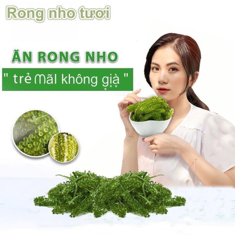 [Rẻ Vô Địch] Rong nho tách nước YuKiBuDo - 1 Gói lẻ 25gr + Tặng kèm nước chấm mè rang | BigBuy360 - bigbuy360.vn