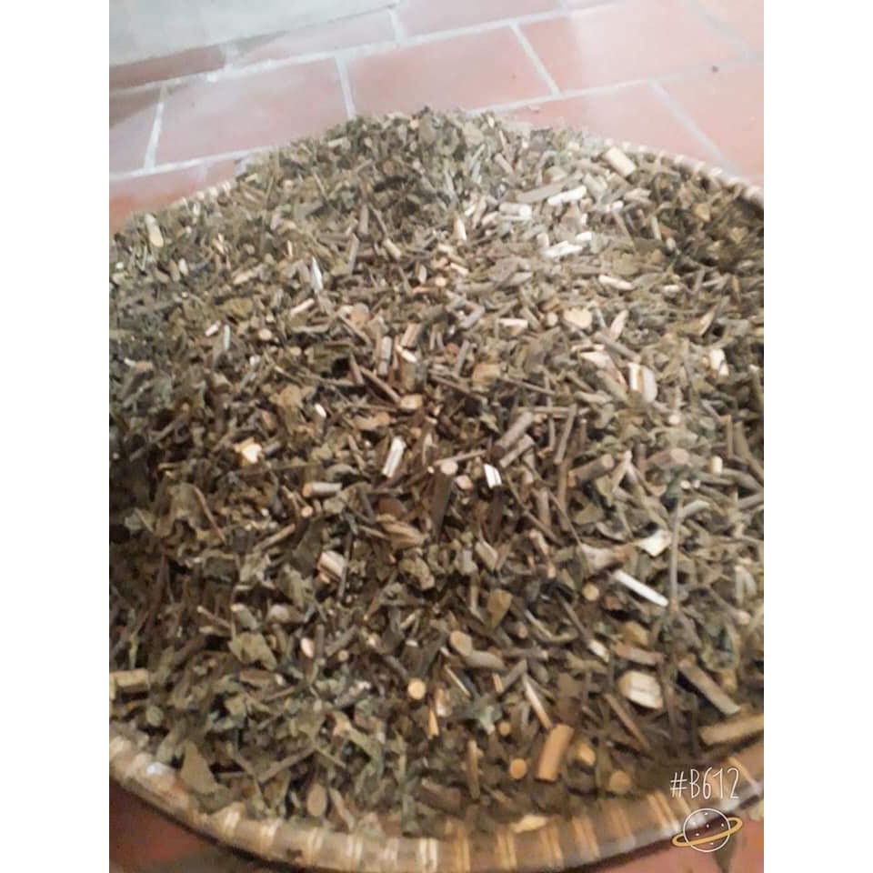 Cây An Xoa Sao Vàng