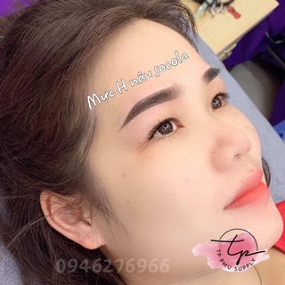 MỰC MÀY HOA ĐÀO/HOA TÍT