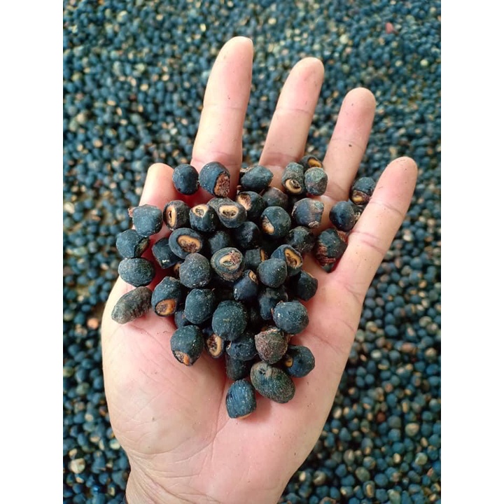 Hạt Chuối Cô Đơn Lợi Tiểu Tốt Cho Người Sỏi Thận Túi 500gr - 1kg | BigBuy360 - bigbuy360.vn