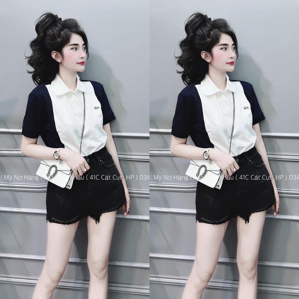 Áo polo phối HOT chuẩn hàng chất cotton mềm mịn chuẩn From