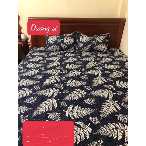 Ga Chun Trần Bông Dày Dặn Coton Poly Đủ Cỡ Được Chọn Mẫu