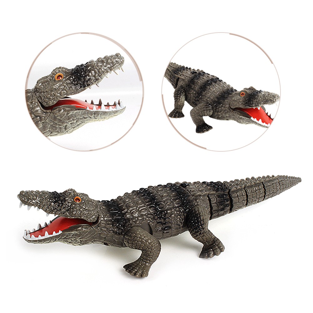 Đồ chơi cá sấu giả điều khiển từ xa vui nhộn