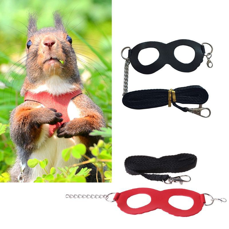 Dây Dắt Chuột Hamster Chống Cắn Tiện Dụng