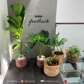 Giỏ đựng đồ lục bình khung sắt đan thưa