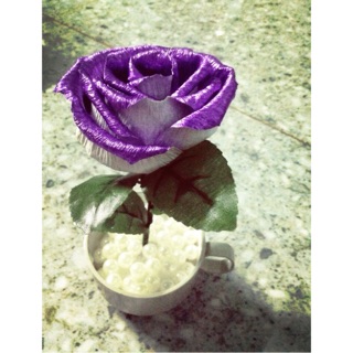 Tiểu cảnh hoa hồng giấy nhún kim tuyến 