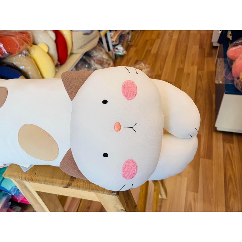 Mèo thun Hikosen Cara