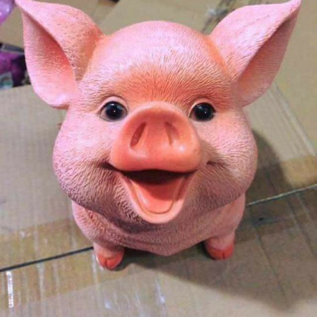Heo sứ tiết kiệm