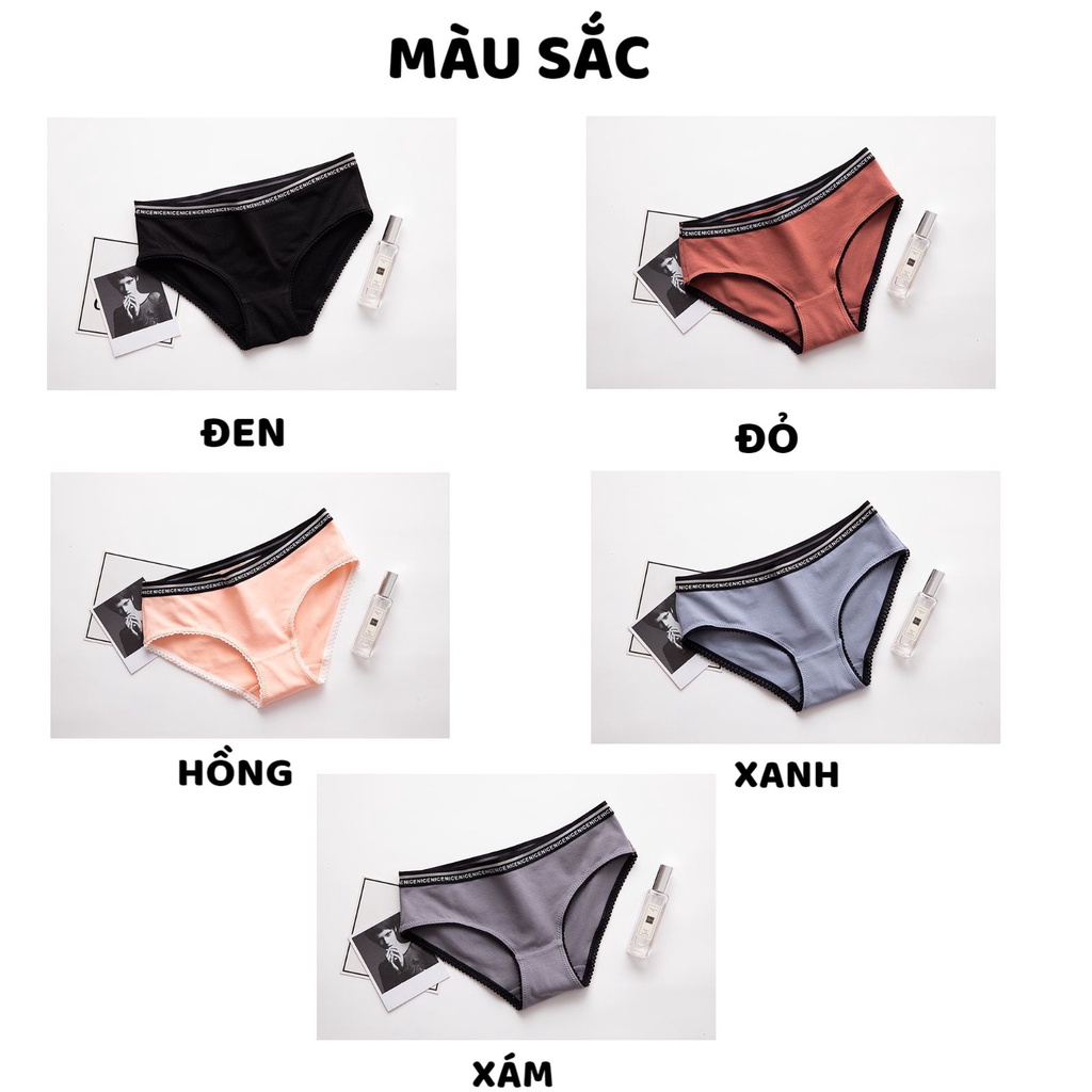 Quần Lót Nữ Cotton cao cấp thiết kế mềm mại tôn dáng siêu co giãn MÃ C87