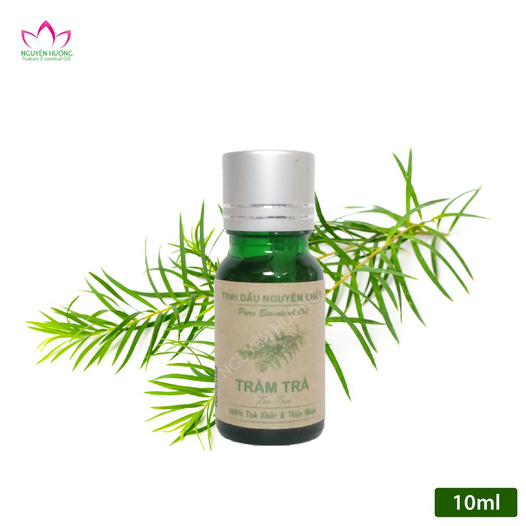 Tinh dầu tràm trà nguyên chất - Tea tree oil 10ml/50ml/100ml [Chấm mụn, Xông thơm, Treo xe..]