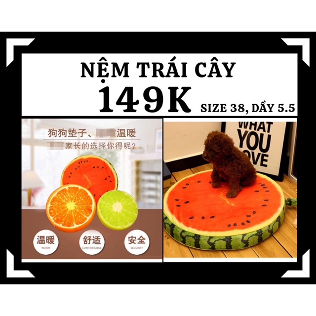 Đệm cho cún cưng