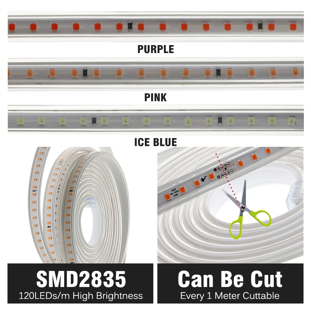 Dây Đèn LED 240v 2835 120LED/m IP67 Dài 5/10M/3m/ 2m/1m Màu Hồng/ Tím/ Xanh Dương Với Phích Cắm 1m