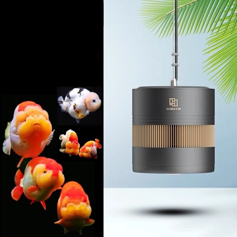 Đèn Rọi MAYIN Cho Huyết Long - Đèn Rọi Cho Cá Vàng Công Suất 60w 100w
