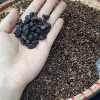 Combo 50 Hạt Dổi, 50g Mắc Khén loại 1