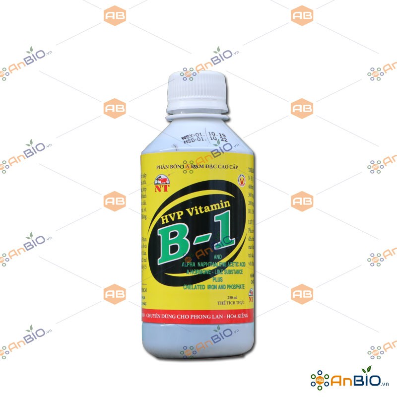 NT VITAMIN B1 - Chai 250ml CHUYÊN PHONG LAN - HOA KIỂNG - C1.1001