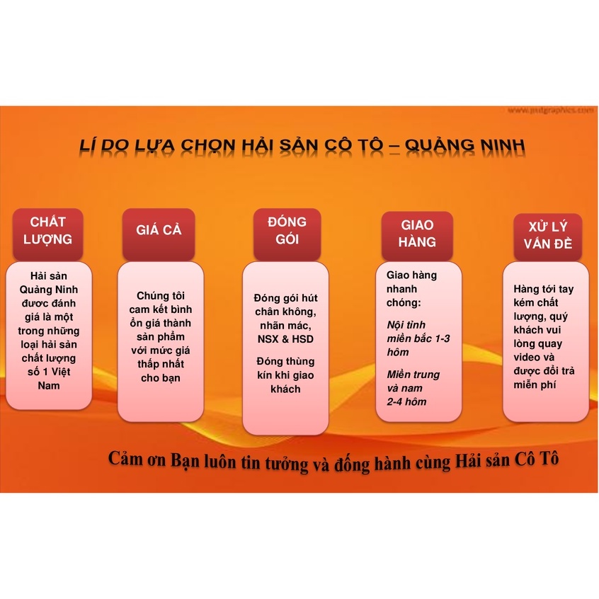 - Khô cá mực xé cay/ Mực rối/ Mực xé sợi ngon - Hải sản Cô Tô