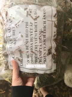 Chè dây rừng ( loại đep )