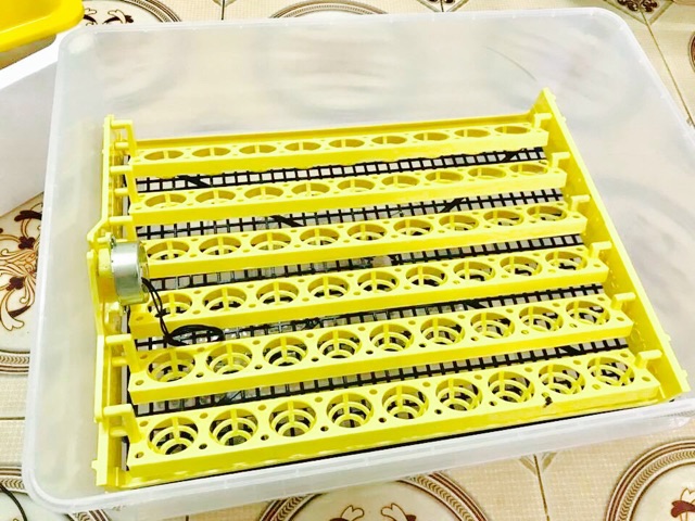 Máy ấp trứng + khay đảo tự động 54 trứng