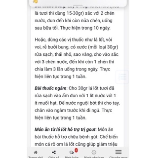 Chậu nhựa lá lốt
