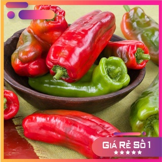 Hạt giống ớt ngọt Cubanelle Nhập khẩu Mỹ - 20 hạt - HGNK