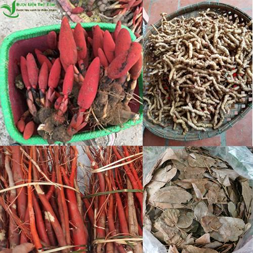 COMBO nấm ngọc cẩu 250G, ba kích tím 250G, dâm dương hoắc 200G, sâm cau đỏ 300G