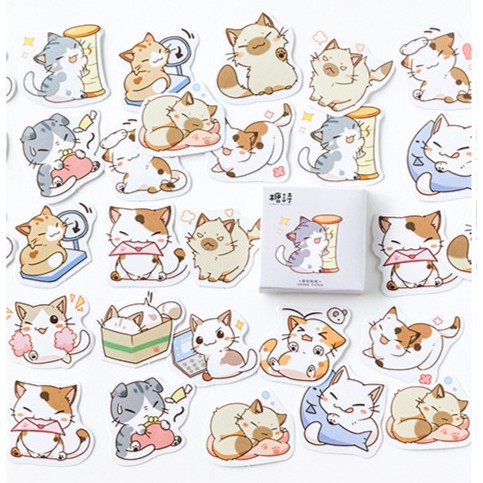 Hộp 45 miếng sticker mẫu những bé mèo con đáng yêu