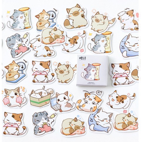 Hộp 45 miếng sticker mẫu những bé mèo siêu đáng yêu