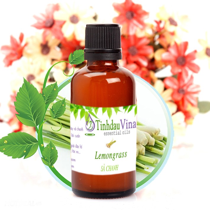 Tinh dầu sả chanh 100ml