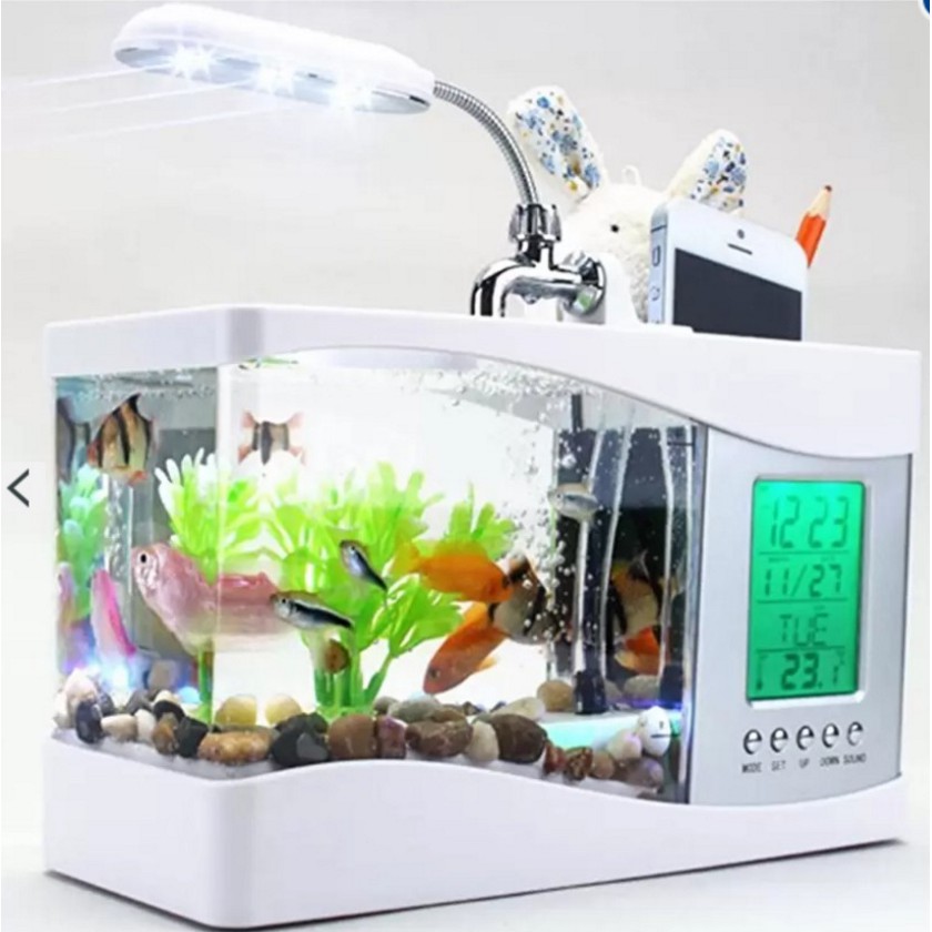 Bể cá mini kiêm đồng hồ để bàn