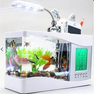 Bể cá mini kiêm đồng hồ để bàn