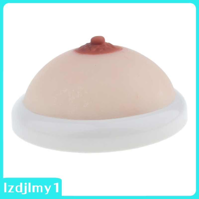Mô hình ngực giả bằng silicon hỗ trợ giảng dạy