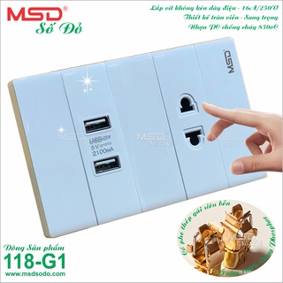 Ổ cắm sạc 2 usb + 1 ổ cắm 2 chấu - 118g1