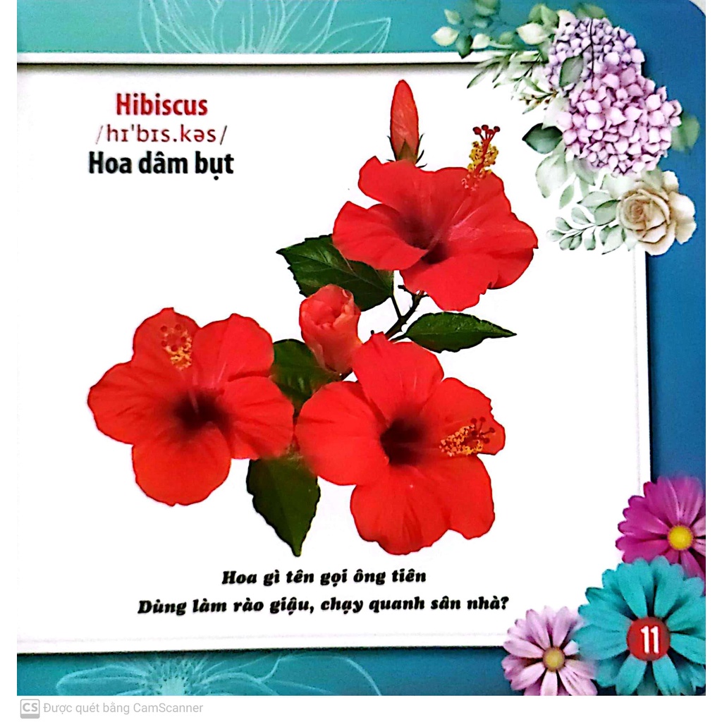 Sách - Cùng Bé Khám Phá Thế Giới Xung Quanh - Hoa - Sách Song Ngữ