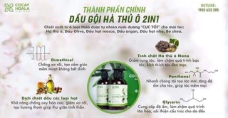 Dầu gội Hà Thủ Ô 2 in 1