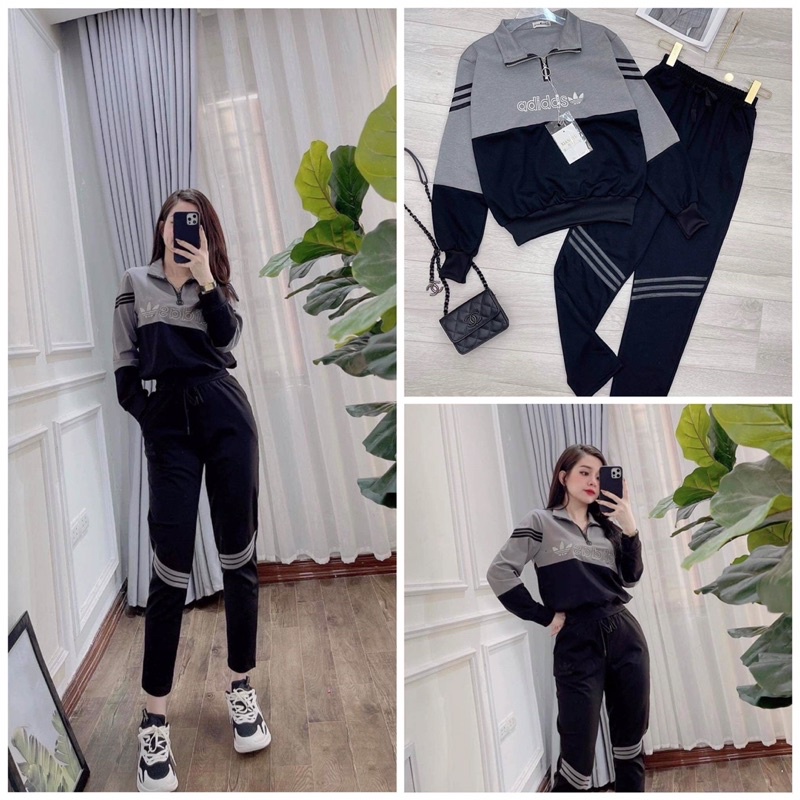 bộ thu đông dsa phối màu ghi đen