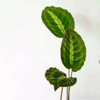 Cầu nguyện thiết kế độc đáo chất lượng cao