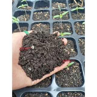 [ưu đãi] 5kg đất ươm cây hữu cơ
