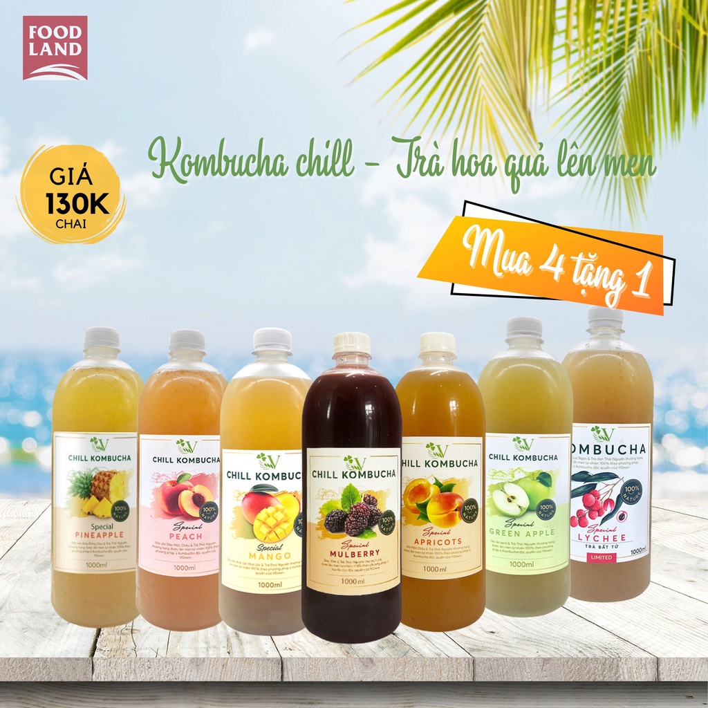 Chill Kombucha 1L - Trà hoa quả lên men - Trà hoa quả lên men con giống scoby - Foodland