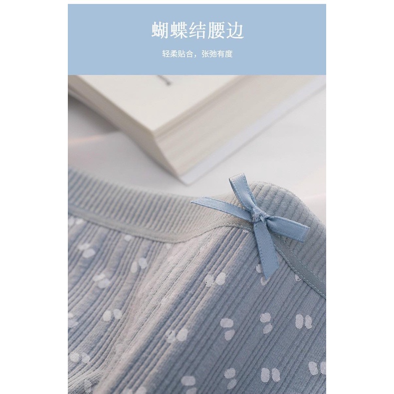 Quần Lót Cotton Gấu Xanh Xuất Hàn Cực xinh  Hàng Loại Đẹp