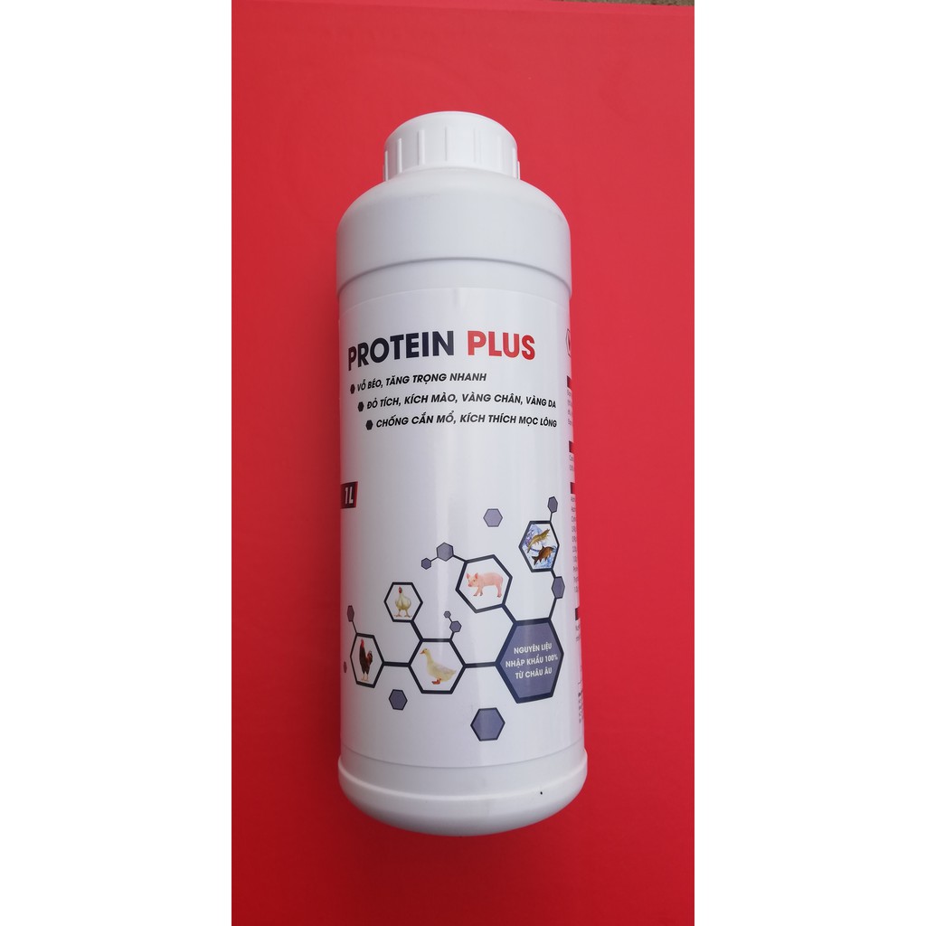 1 LÍT PROTEIN PLUS Vỗ béo, tăng trọng nhanh, đỏ tích, kích mào, vàng chân, vàng da, chống cắn mổ, kích thích mọc lông.